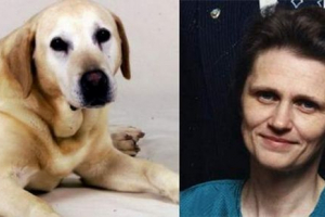 Mladi i zdrav vodič za pse zadovoljni su i pokopani s njezinom ljubavnicom